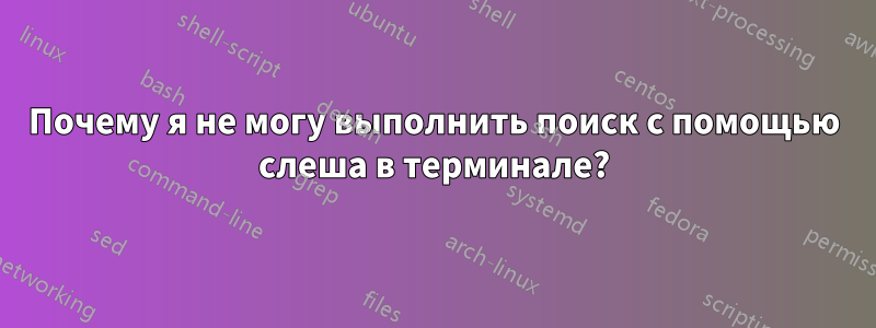 Почему я не могу выполнить поиск с помощью слеша в терминале?