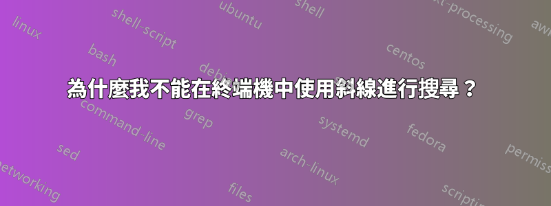 為什麼我不能在終端機中使用斜線進行搜尋？