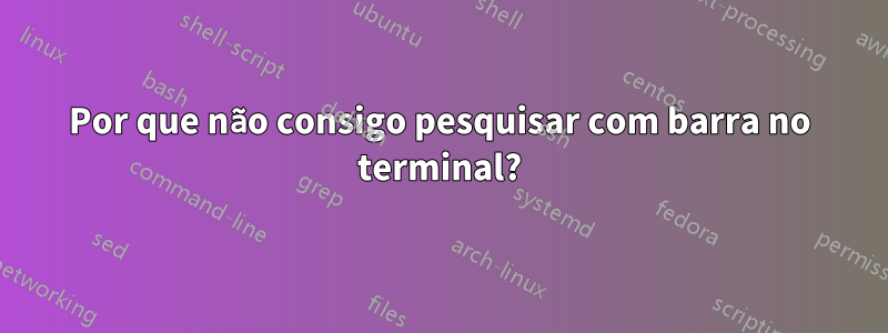 Por que não consigo pesquisar com barra no terminal?