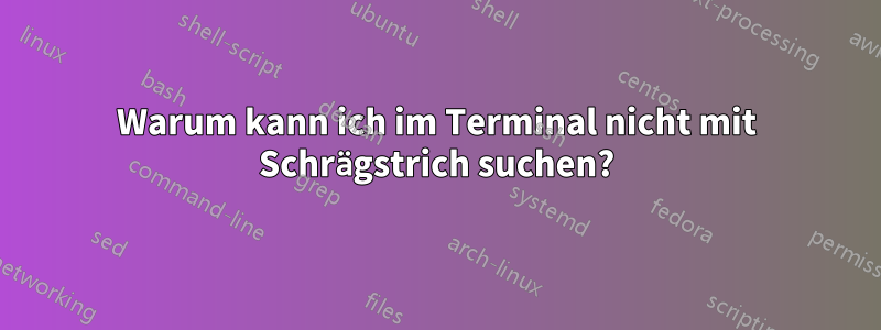 Warum kann ich im Terminal nicht mit Schrägstrich suchen?