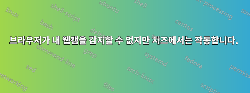 브라우저가 내 웹캠을 감지할 수 없지만 치즈에서는 작동합니다.