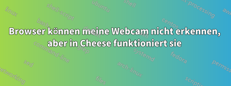 Browser können meine Webcam nicht erkennen, aber in Cheese funktioniert sie