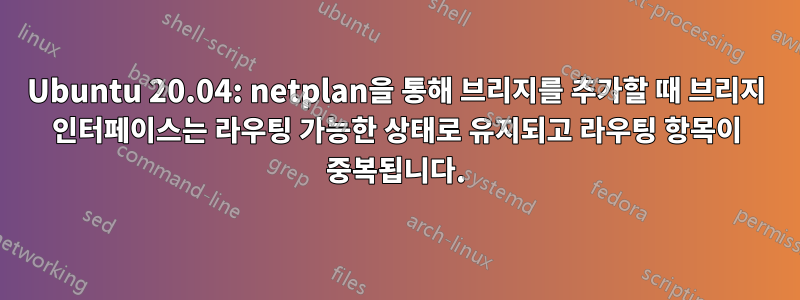 Ubuntu 20.04: netplan을 통해 브리지를 추가할 때 브리지 인터페이스는 라우팅 가능한 상태로 유지되고 라우팅 항목이 중복됩니다.