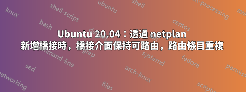 Ubuntu 20.04：透過 netplan 新增橋接時，橋接介面保持可路由，路由條目重複