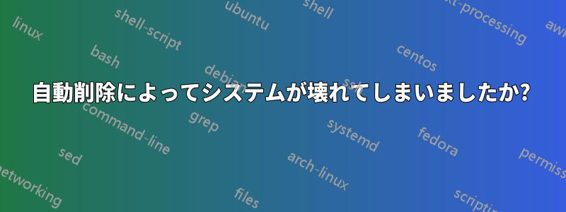 自動削除によってシステムが壊れてしまいましたか?