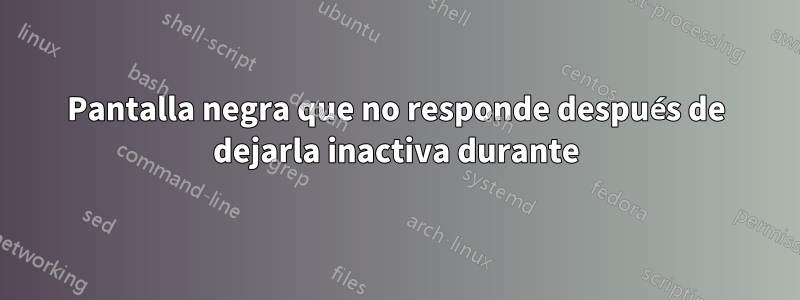 Pantalla negra que no responde después de dejarla inactiva durante