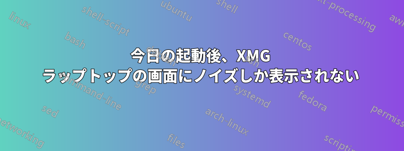 今日の起動後、XMG ラップトップの画面にノイズしか表示されない