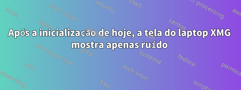 Após a inicialização de hoje, a tela do laptop XMG mostra apenas ruído