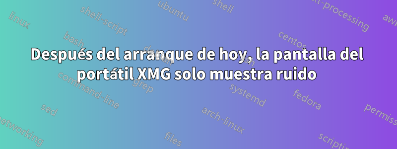 Después del arranque de hoy, la pantalla del portátil XMG solo muestra ruido