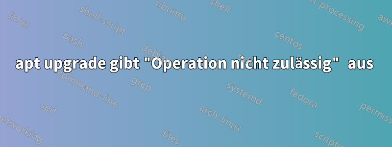 apt upgrade gibt "Operation nicht zulässig" aus