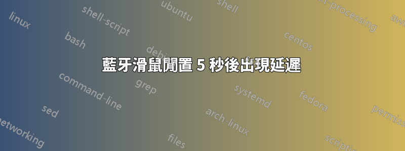 藍牙滑鼠閒置 5 秒後出現延遲