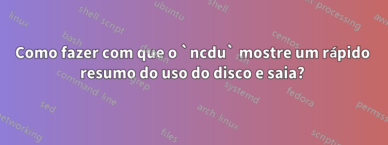 Como fazer com que o `ncdu` mostre um rápido resumo do uso do disco e saia?