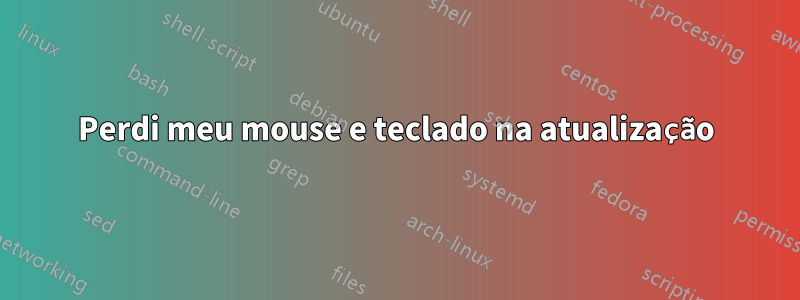 Perdi meu mouse e teclado na atualização