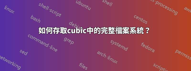 如何存取cubic中的完整檔案系統？