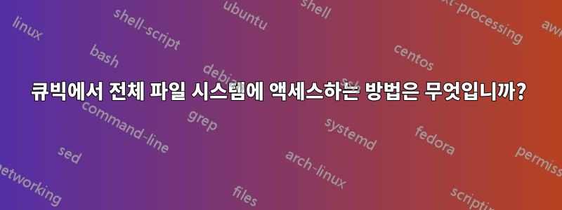 큐빅에서 전체 파일 시스템에 액세스하는 방법은 무엇입니까?