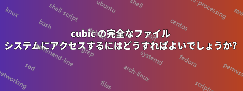 cubic の完全なファイル システムにアクセスするにはどうすればよいでしょうか?