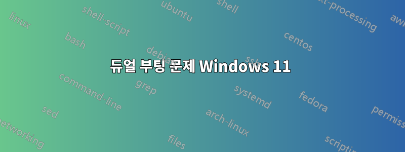 듀얼 부팅 문제 Windows 11