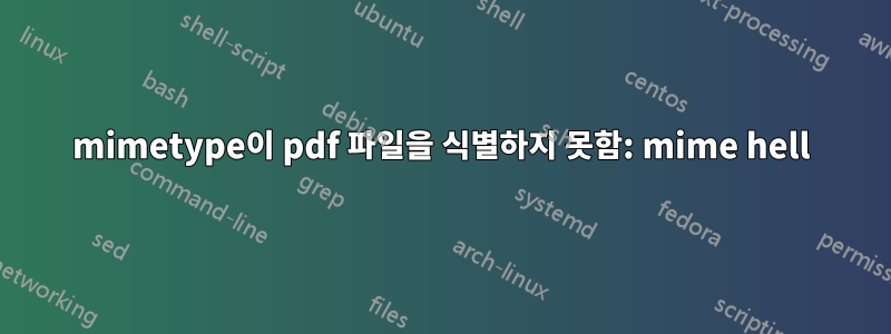 mimetype이 pdf 파일을 식별하지 못함: mime hell