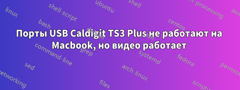 Порты USB Caldigit TS3 Plus не работают на Macbook, но видео работает