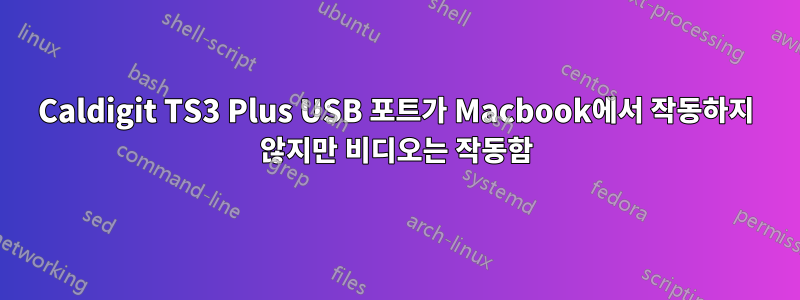 Caldigit TS3 Plus USB 포트가 Macbook에서 작동하지 않지만 비디오는 작동함