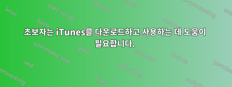 초보자는 iTunes를 다운로드하고 사용하는 데 도움이 필요합니다.