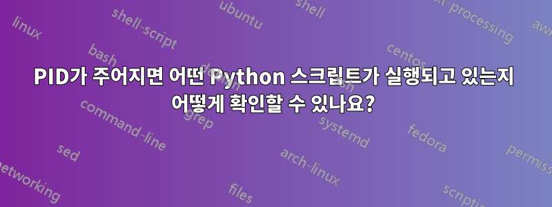 PID가 주어지면 어떤 Python 스크립트가 실행되고 있는지 어떻게 확인할 수 있나요?