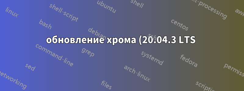 обновление хрома (20.04.3 LTS)