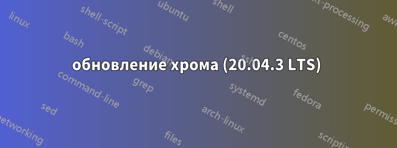 обновление хрома (20.04.3 LTS)