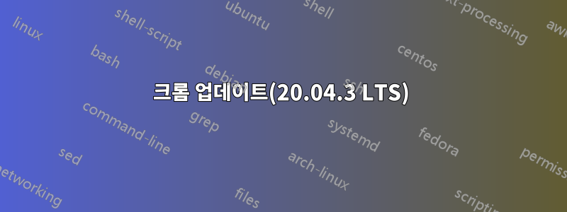 크롬 업데이트(20.04.3 LTS)