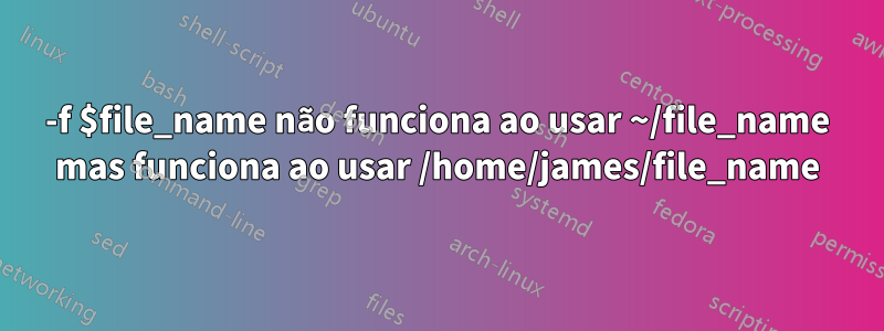 -f $file_name não funciona ao usar ~/file_name mas funciona ao usar /home/james/file_name