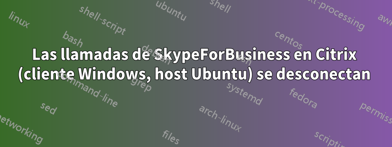 Las llamadas de SkypeForBusiness en Citrix (cliente Windows, host Ubuntu) se desconectan