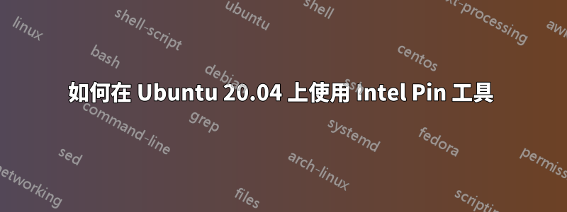 如何在 Ubuntu 20.04 上使用 Intel Pin 工具