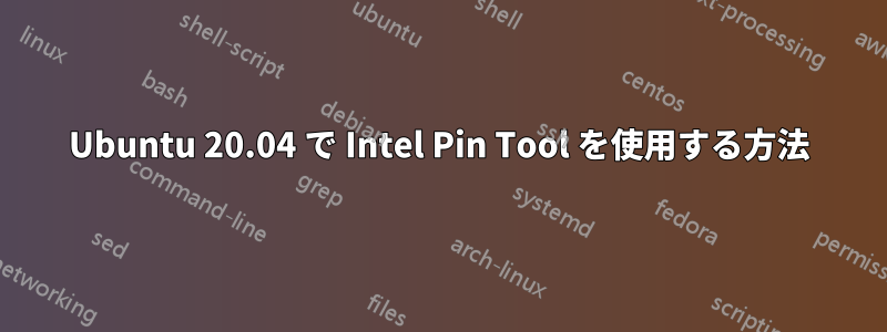 Ubuntu 20.04 で Intel Pin Tool を使用する方法