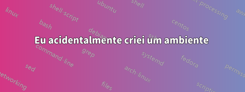 Eu acidentalmente criei um ambiente
