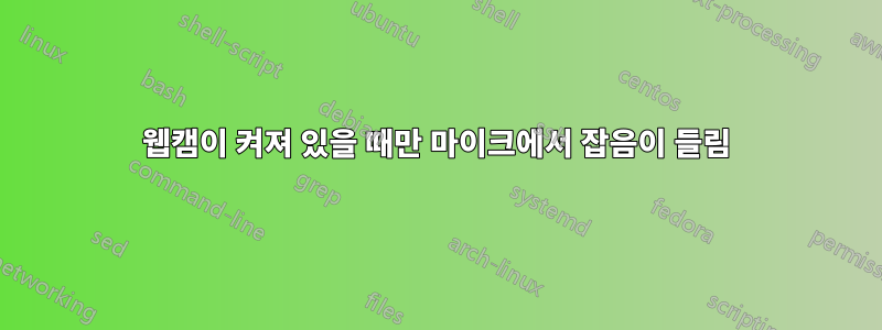 웹캠이 켜져 있을 때만 마이크에서 잡음이 들림