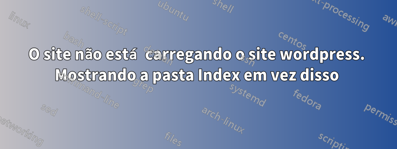 O site não está carregando o site wordpress. Mostrando a pasta Index em vez disso