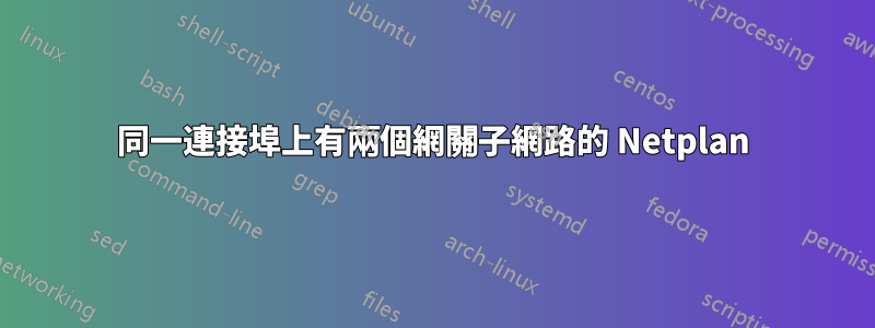 同一連接埠上有兩個網關子網路的 Netplan