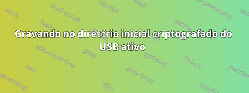 Gravando no diretório inicial criptografado do USB ativo 