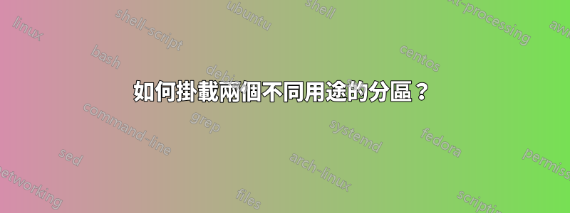 如何掛載兩個不同用途的分區？