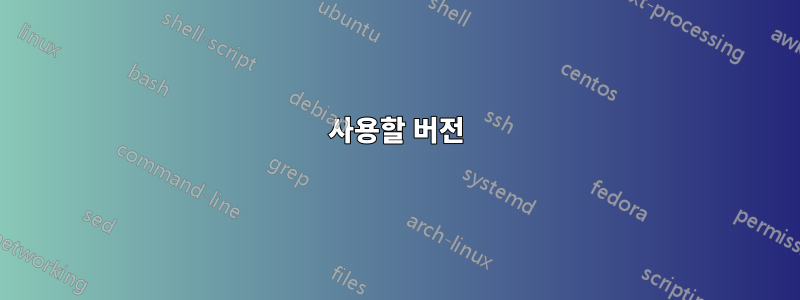 사용할 버전