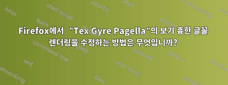 Firefox에서 "Tex Gyre Pagella"의 보기 흉한 글꼴 렌더링을 수정하는 방법은 무엇입니까?