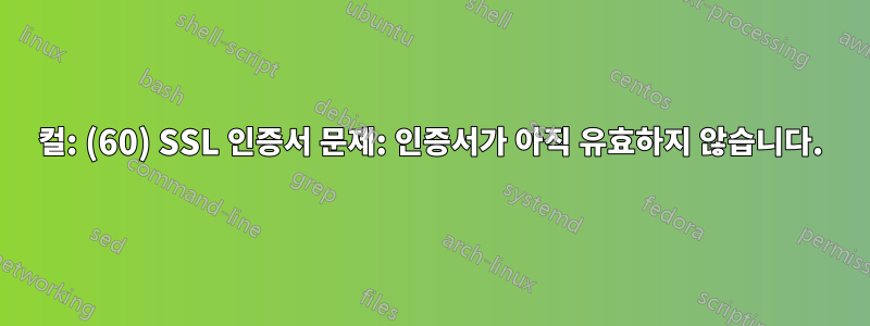 컬: (60) SSL 인증서 문제: 인증서가 아직 유효하지 않습니다.