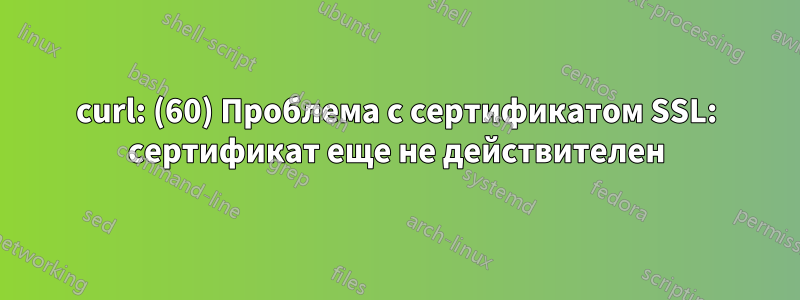 curl: (60) Проблема с сертификатом SSL: сертификат еще не действителен