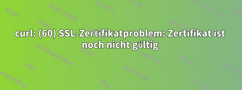curl: (60) SSL-Zertifikatproblem: Zertifikat ist noch nicht gültig