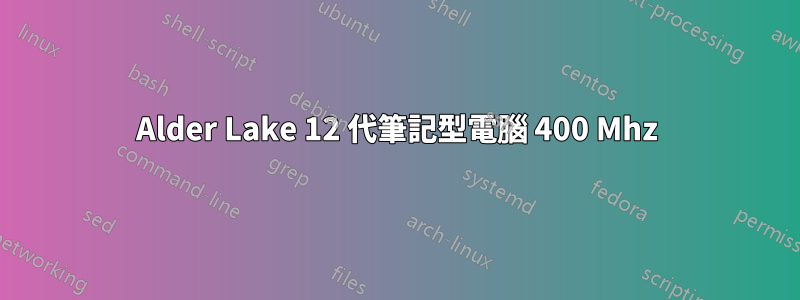Alder Lake 12 代筆記型電腦 400 Mhz