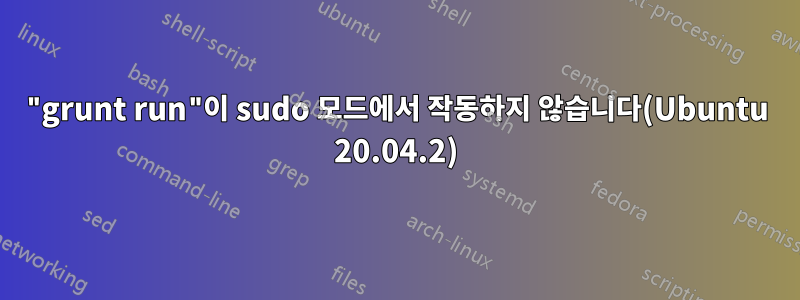 "grunt run"이 sudo 모드에서 작동하지 않습니다(Ubuntu 20.04.2)