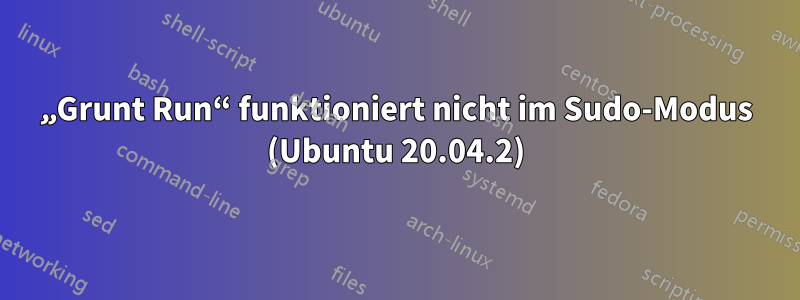 „Grunt Run“ funktioniert nicht im Sudo-Modus (Ubuntu 20.04.2)