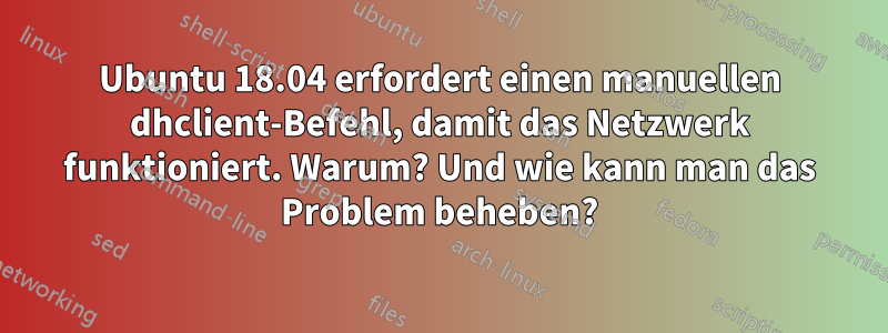 Ubuntu 18.04 erfordert einen manuellen dhclient-Befehl, damit das Netzwerk funktioniert. Warum? Und wie kann man das Problem beheben?
