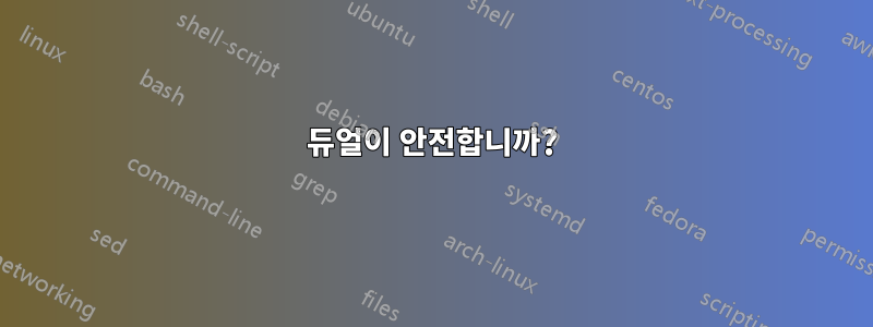 듀얼이 안전합니까?
