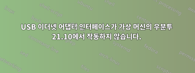 USB 이더넷 어댑터 인터페이스가 가상 머신의 우분투 21.10에서 작동하지 않습니다.